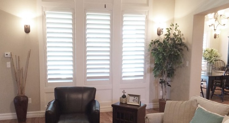 Philadelphia living room white shutters